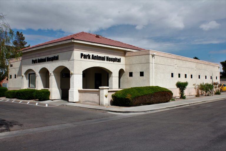 park-animal-hospital